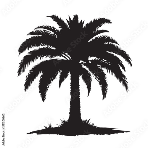 silhouette of palm trees