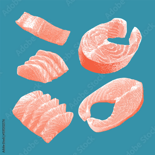 Salmon, salmon vector, salmon illustration, line drawing on  blue background.