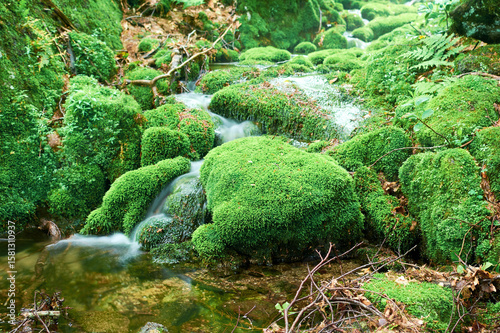 Fototapeta Naklejka Na Ścianę i Meble -  Beauty landscape concept for cosmetics product presentation with empty stone platform covered with green moss on the forest background and water. Blank space to place mockup or your design