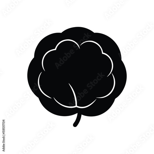vector illustration of a cotton pad