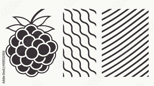 Stylized black and white graphic design featuring a raspberry and abstract patterns
