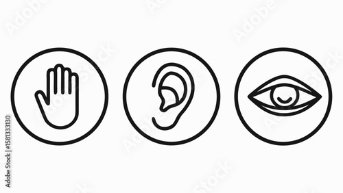 Three simple black line icons representing the senses of touch hearing and sight