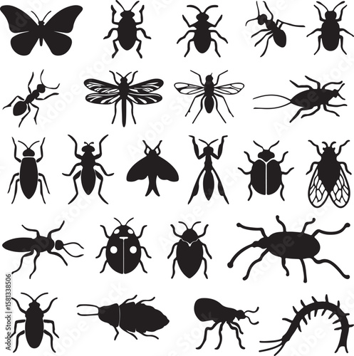 Diverse insect silhouettes collection butterfly beetle