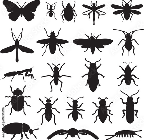 Diverse insect silhouettes butterfly beetle ant dragonfly wasp praying mantis vector