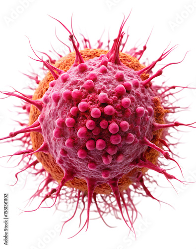 Detailed close up of a pink and orange cancer cell with spiky protrusions and smaller spherical growths isolated on a transparent background
