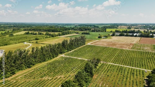 Aerial Drone: Ontario Greenbelt Farming Fields, Lush Rural Landscape