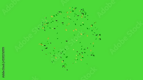 confetti video footage with green screen