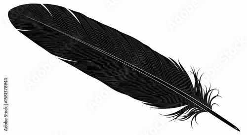 Elegant Feather Vector A minimalist design of a black feather for your creative projects