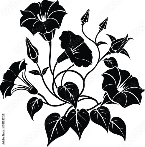 Morning Glory And Leaf Corner Silhouette With Trumpet