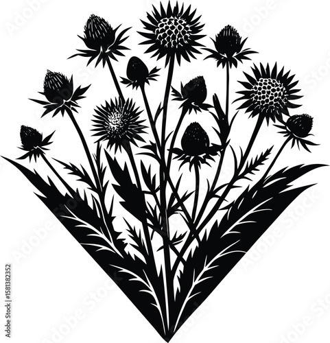 Nature Flourish Corner With Thistle And Wildflower