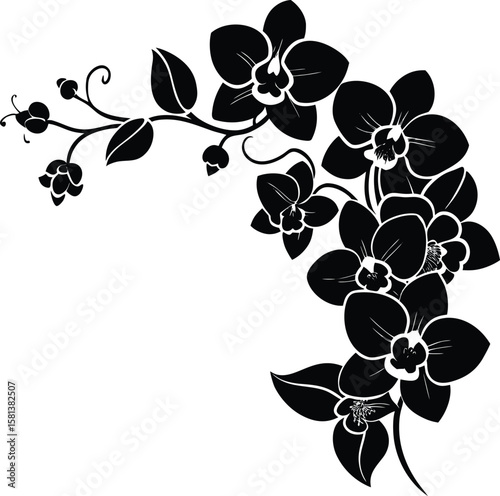 Orchid Corner Design Silhouette With Elegant Flower