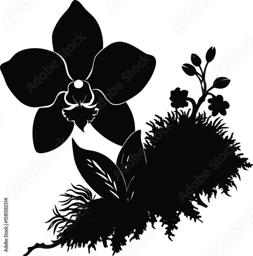 Orchid And Moss Corner Silhouette With Elegant Petal