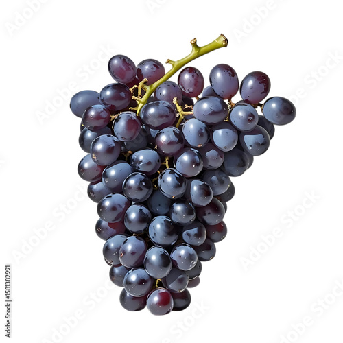 A ripe bunch of dark purple grapes with a green stem isolated on transparent background
