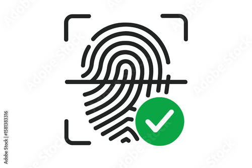 Vector fingerprint biometric authentication icon with green success check mark. ID verification app symbol for secure mobile login, access granted, identity security interface design