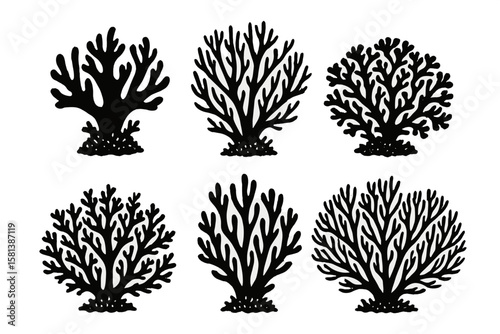 Coral silhouette vector set. Black and white collection of diverse coral species icons. Marine life, underwater plant and sea reef symbols. Aquatic nature wildlife illustration.