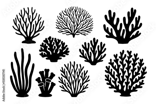 Black coral silhouette set. Vector illustration of diverse coral species. Marine life icons isolated on white. Sea plant, ocean reef, underwater nature design elements.