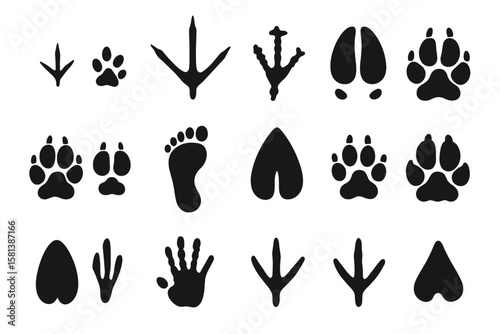 Animal tracks silhouette collection. Vector paw prints of wild animals. Footprints of dog, cat, bear, wolf. Hoof print of deer, pig. Bird, reptile, human foot step icons.