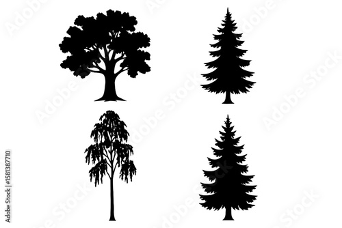 Set of 4 Tree Silhouettes Vector Illustrations, Deciduous and Coniferous Trees, Oak, Pine, Birch, Forest and Park Nature Elements, Isolated Outdoor Background Graphics