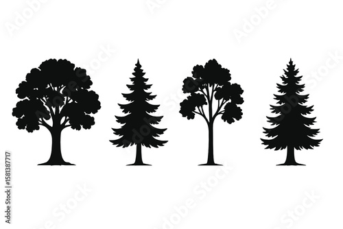 Set of 4 Tree Silhouette Vector Illustrations, Deciduous and Coniferous Trees, Oak, Pine, Birch, Nature, Forest, Park, Outdoors, Isolated, Black Background, Landscape Elements