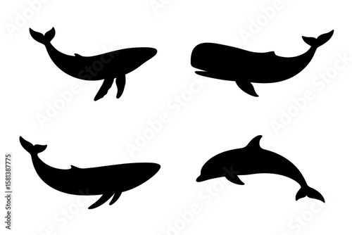 Whale Silhouette Vector Set – 4 Marine Mammal Shapes Including Humpback, Sperm Whale, Dolphin, Ocean Animal Icons for Nautical Themes, Logos, Sea Life Design, Aquatic Wildlife Illustration