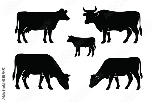 Cow silhouette vector collection for agriculture design. Set of farm animals like cattle, bull, calf. Black livestock icons for dairy and meat industry. Isolated graphic elements.