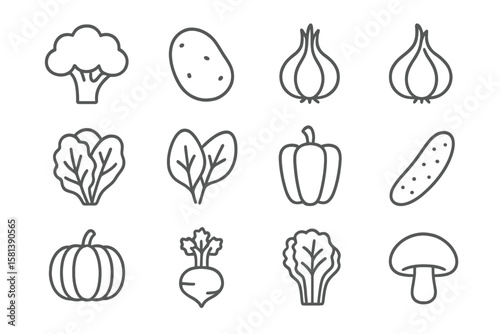 Vector line icon set of 4 vegetables including broccoli, potato, onion, garlic, lettuce, spinach, pepper, cucumber, pumpkin, turnip, celery, cabbage, mushroom, thin outline pictograms