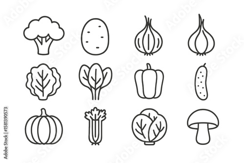 Vegetables line icon set, vector pictograms of broccoli, potato, onion, garlic, lettuce, spinach, pepper, cucumber, pumpkin, turnip, celery, cabbage, mushroom, thin line style
