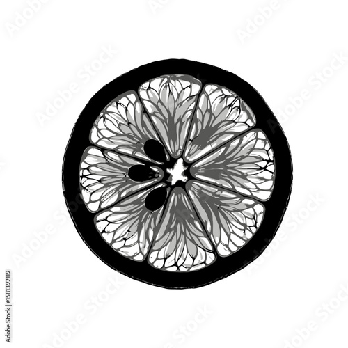 Abstract Citrus Slice Illustration
