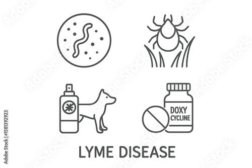 Lyme Disease Vector Icon Set of 4, Line Art Pictograms Featuring Spirochete Pathogen, Insect Tick, Repellent Spray, Antibiotic Pill for Disease Prevention and Treatment