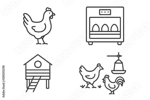 Poultry farming line icon set of 4, vector pictograms of chicken, eggs incubator, henhouse, feeding equipment, free-range rooster, organic farm, thin linear