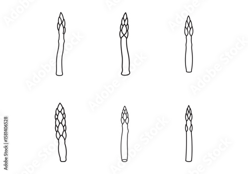 asparagus icon line art vector illustration