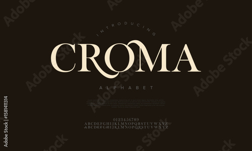 Sleek serif typeface with artistic curves, ideal for logos, headlines, and luxury projects