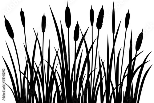 Cattails reeds and grass plants black silhouette vector illustration