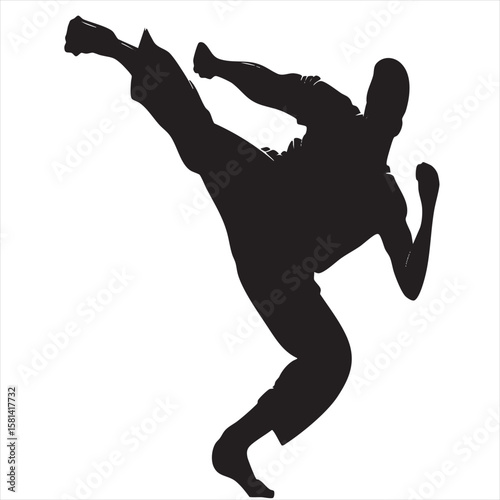 Martial Arts Kick Silhouette Black and White  
