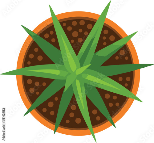 EPS vector of a top-view succulent plant in a terracotta pot with rich soil details. A perfect natural touch for eco-friendly and botanical designs—download now and grow your creativity! 🌿
