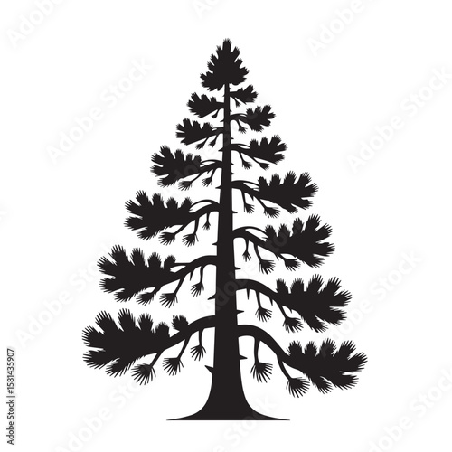 A tall evergreen pine tree with detailed branches and needles