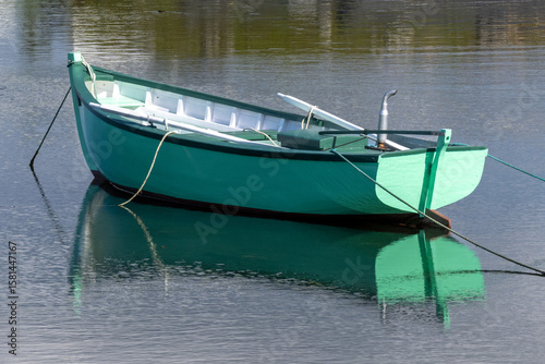 A bright green wooden boat with dark green trim, known as a Rodney boat or a go-ashore vessel. The center of the boat is white and there's two oars in it. The small boat is moored with rope in a pond.