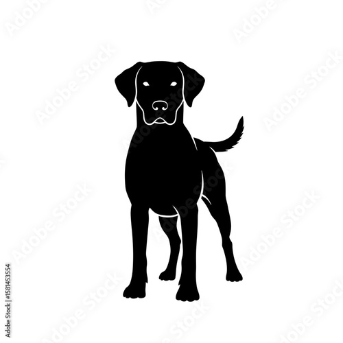 Illustration of a labrador retriever standing with its tail curved upwards in a vector graphic
