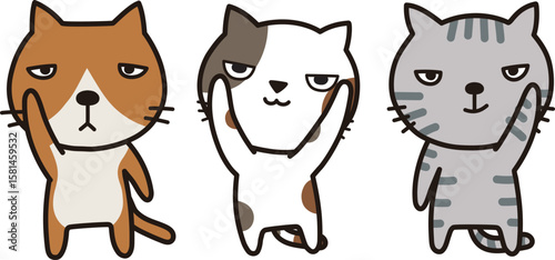 猫