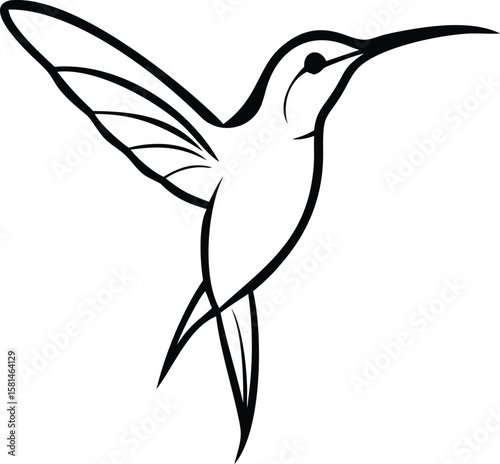 Delicate hummingbird in flight with outstretched wings and long beak flying