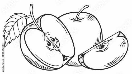 Line art illustration of a whole apple a half apple and a slice