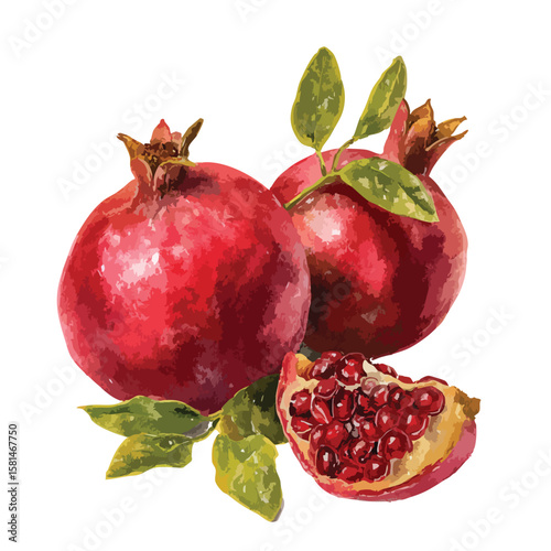 Red pomegranate is cut in half and surrounded by leaves