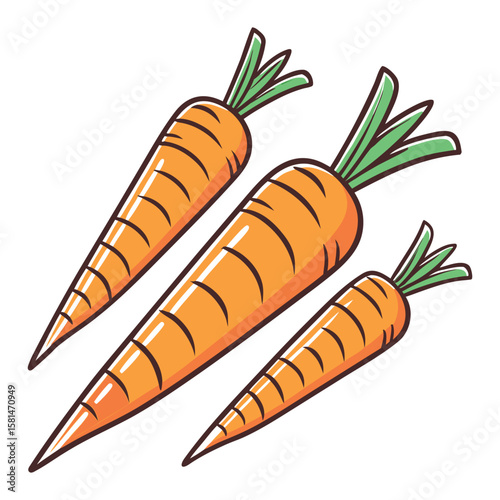 carrot vector illustration