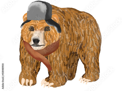 bear