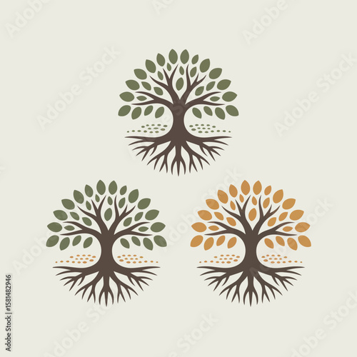 Three stylized trees with visible roots and leaves in green and orange colors