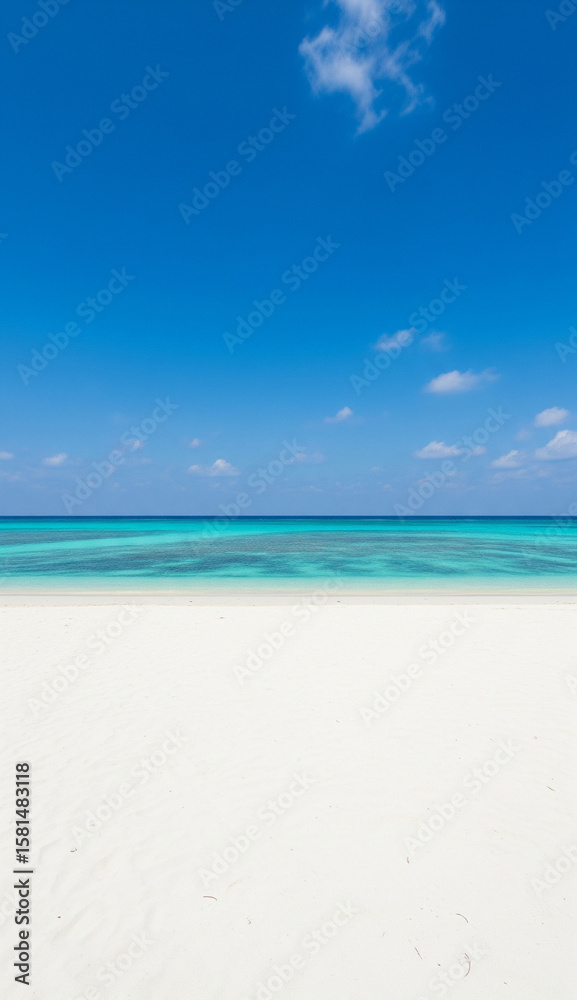Obraz premium Calming view of a peaceful beach with gentle water and sunlight