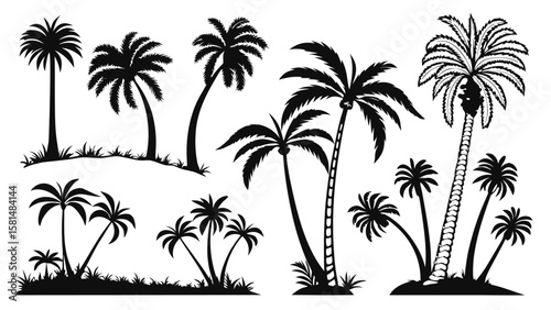 Collection of diverse black silhouette palm trees with varied trunks and fronds on white background