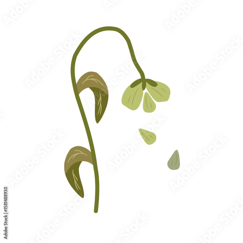 Wilted Flower from Global Warming