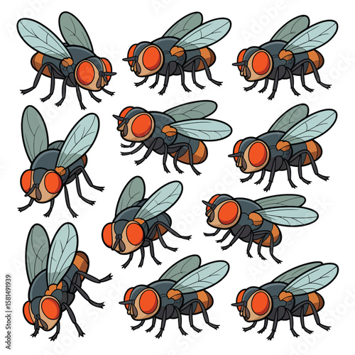 Collection of cartoon house flies with large orange eyes and transparent wings