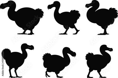 Dodo bird silhouette vector set, extinct flightless bird design, black outline animal illustration, cad drawing flat vector  bird silhouette vector set, extinct flightless 